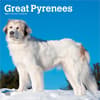 image Great Pyrenees 2027 Wall Calendar Main Product Image
