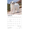 image Great Pyrenees 2027 Wall Calendar Second Alternate Image