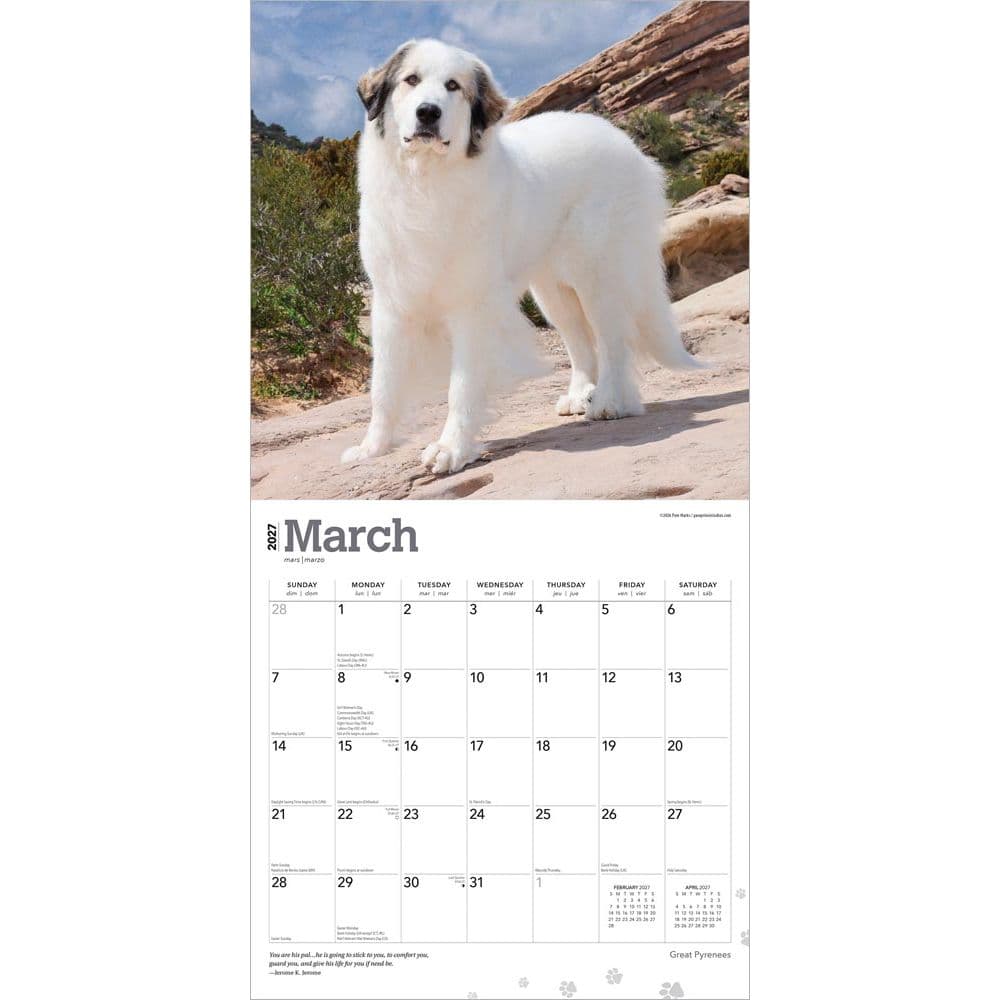 Great Pyrenees 2027 Wall Calendar Second Alternate Image