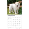 image Great Pyrenees 2027 Wall Calendar Third Alternate Image