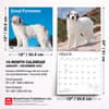 image Great Pyrenees 2027 Wall Calendar Sixth Alternate Image