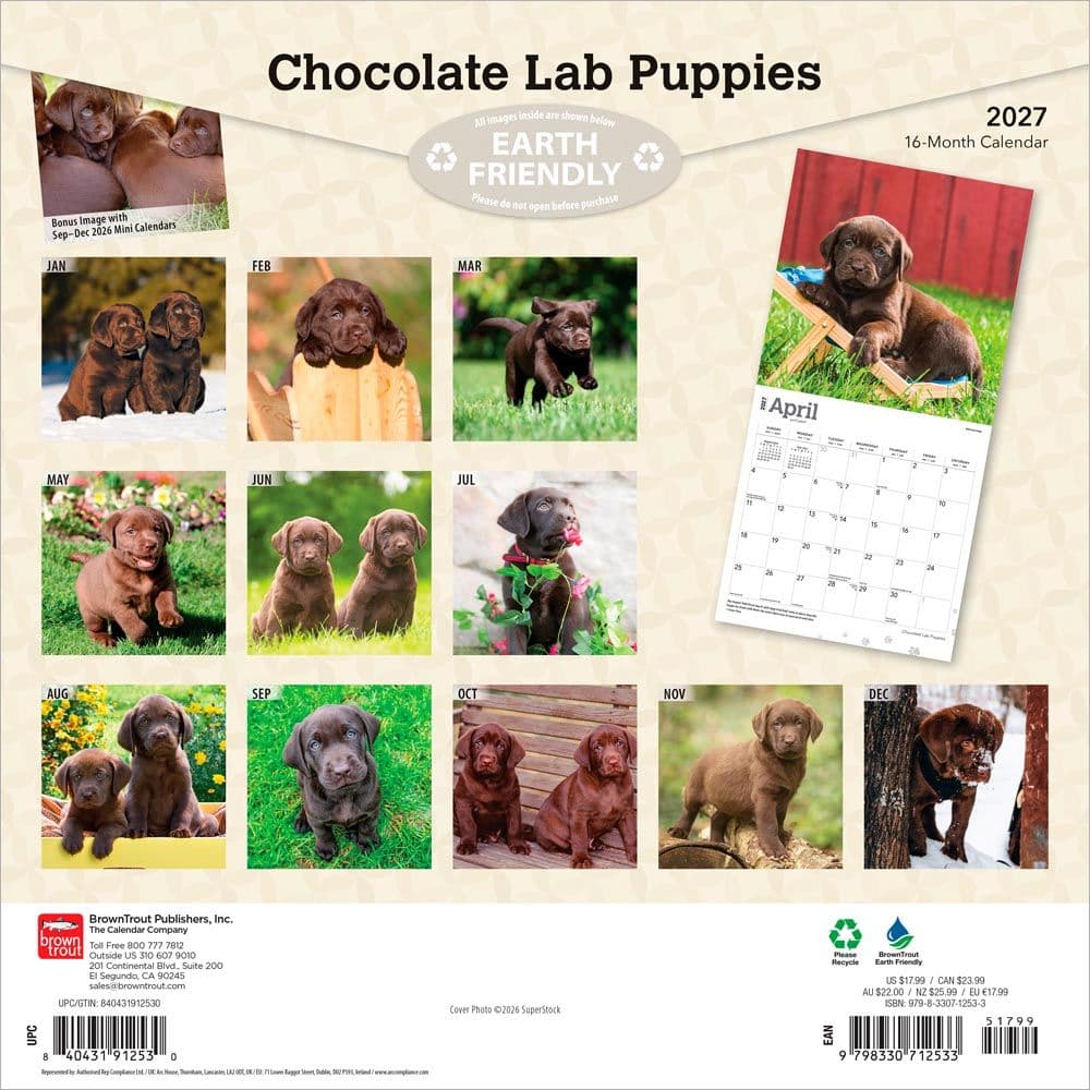 Chocolate Lab Retriever Puppies 2027 Wall Calendar First Alternate Image