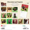 image Chocolate Lab Retriever Puppies 2027 Wall Calendar First Alternate Image