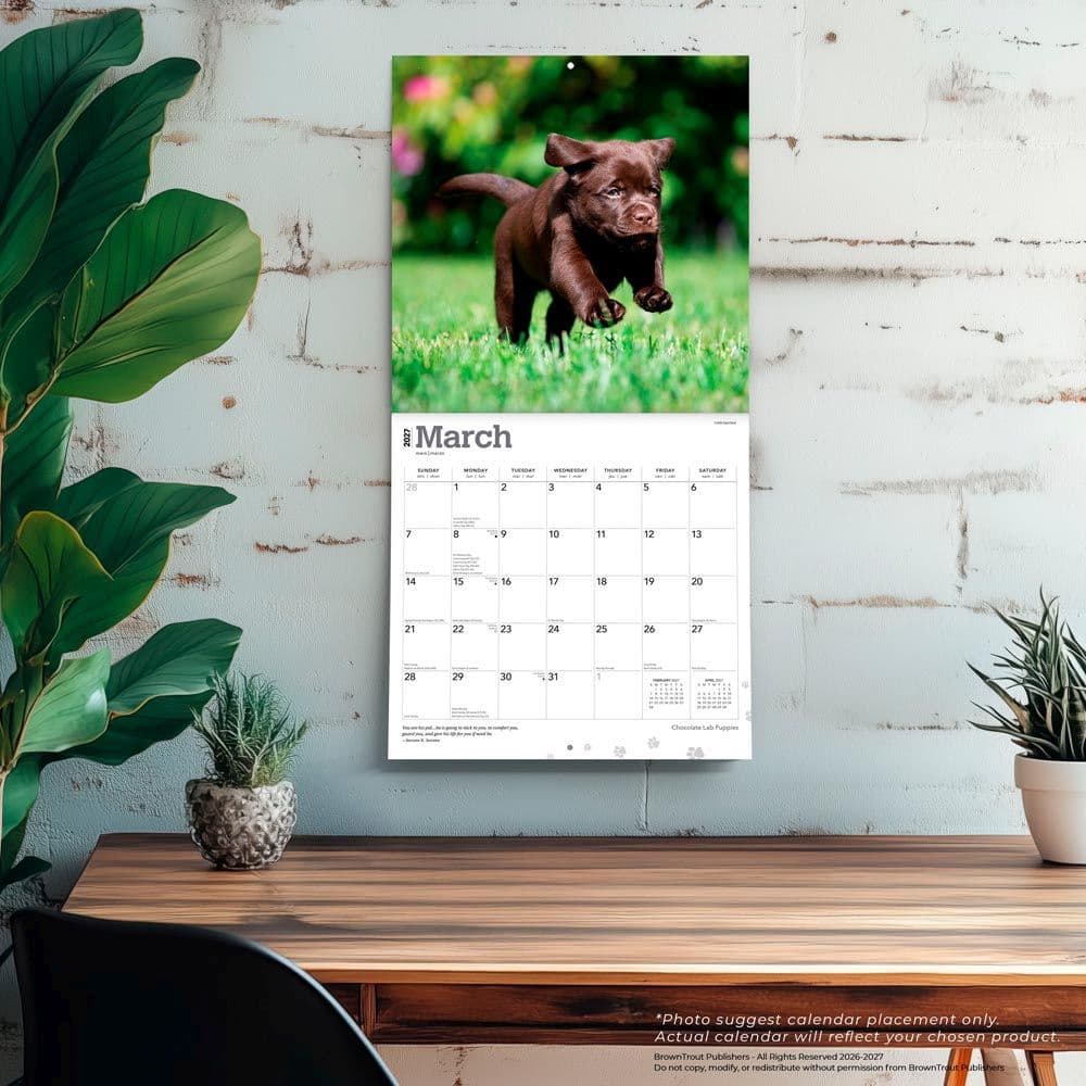 Chocolate Lab Retriever Puppies 2027 Wall Calendar Fourth Alternate Image