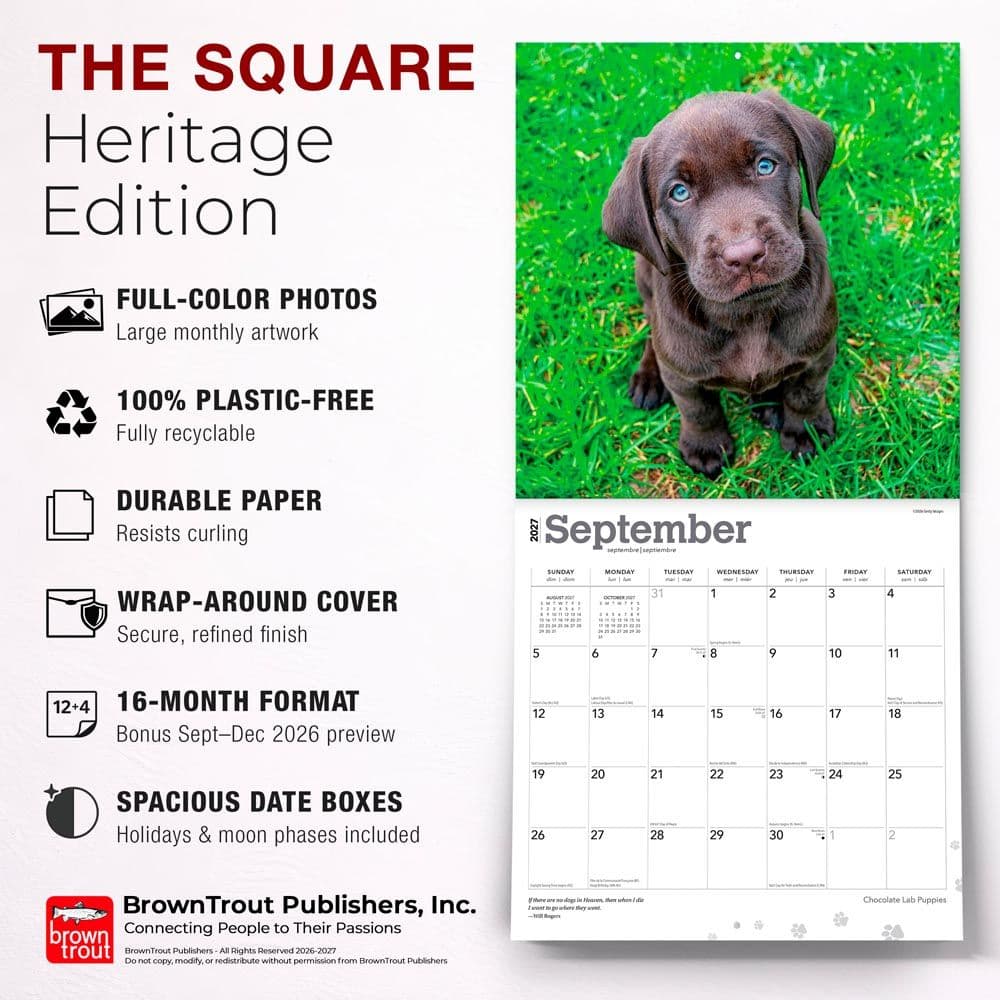 Chocolate Lab Retriever Puppies 2027 Wall Calendar Fifth Alternate Image