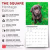 image Chocolate Lab Retriever Puppies 2027 Wall Calendar Fifth Alternate Image