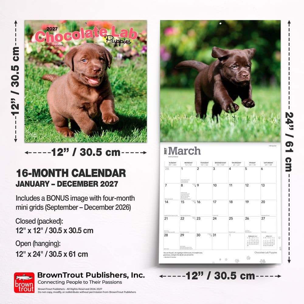Chocolate Lab Retriever Puppies 2027 Wall Calendar Sixth Alternate Image