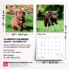 image Chocolate Lab Retriever Puppies 2027 Wall Calendar Sixth Alternate Image