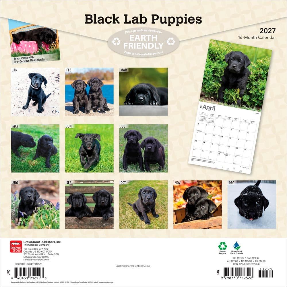 Black Lab Retriever Puppies 2027 Wall Calendar First Alternate Image