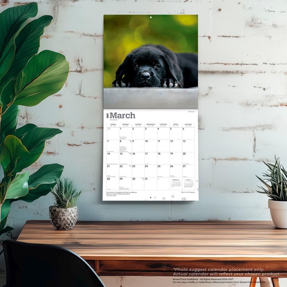 Black Lab Retriever Puppies 2027 Wall Calendar Fourth Alternate Image