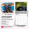 image Black Lab Retriever Puppies 2027 Wall Calendar Sixth Alternate Image