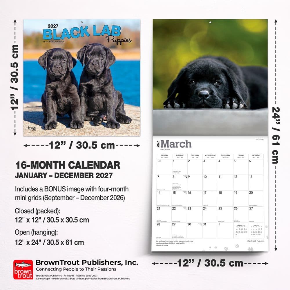 Black Lab Retriever Puppies 2027 Wall Calendar Sixth Alternate Image