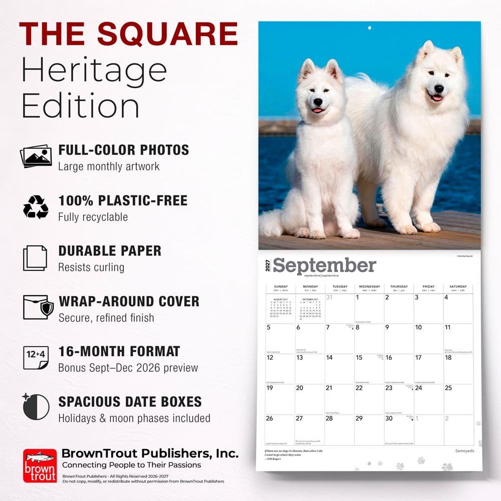 Samoyeds 2027 Wall Calendar Fifth Alternate Image