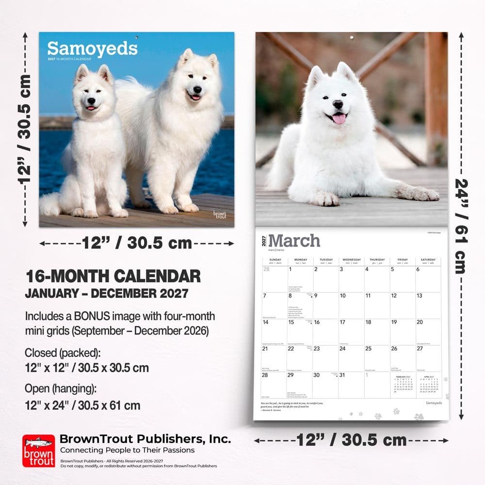 Samoyeds 2027 Wall Calendar Sixth Alternate Image