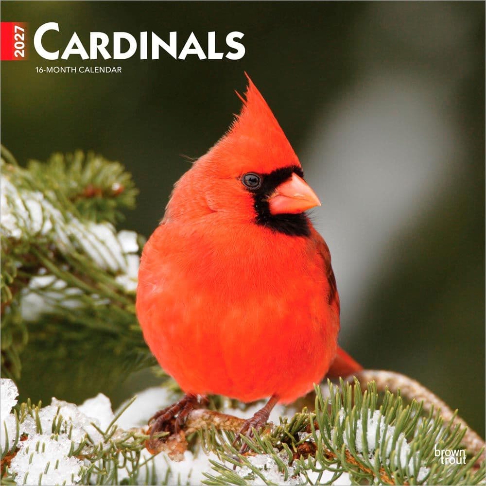 Cardinals 2027 Wall Calendar Main Product Image