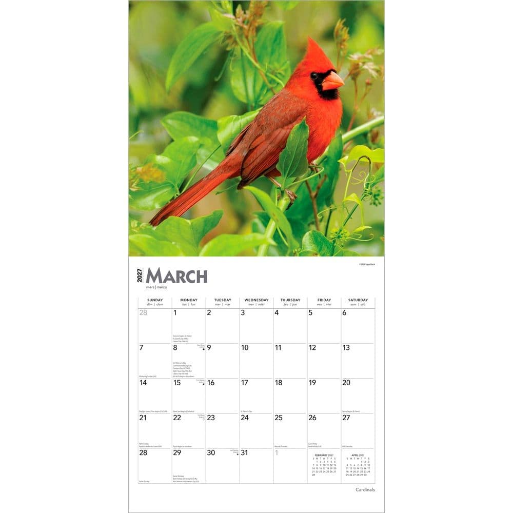 Cardinals 2027 Wall Calendar Second Alternate Image