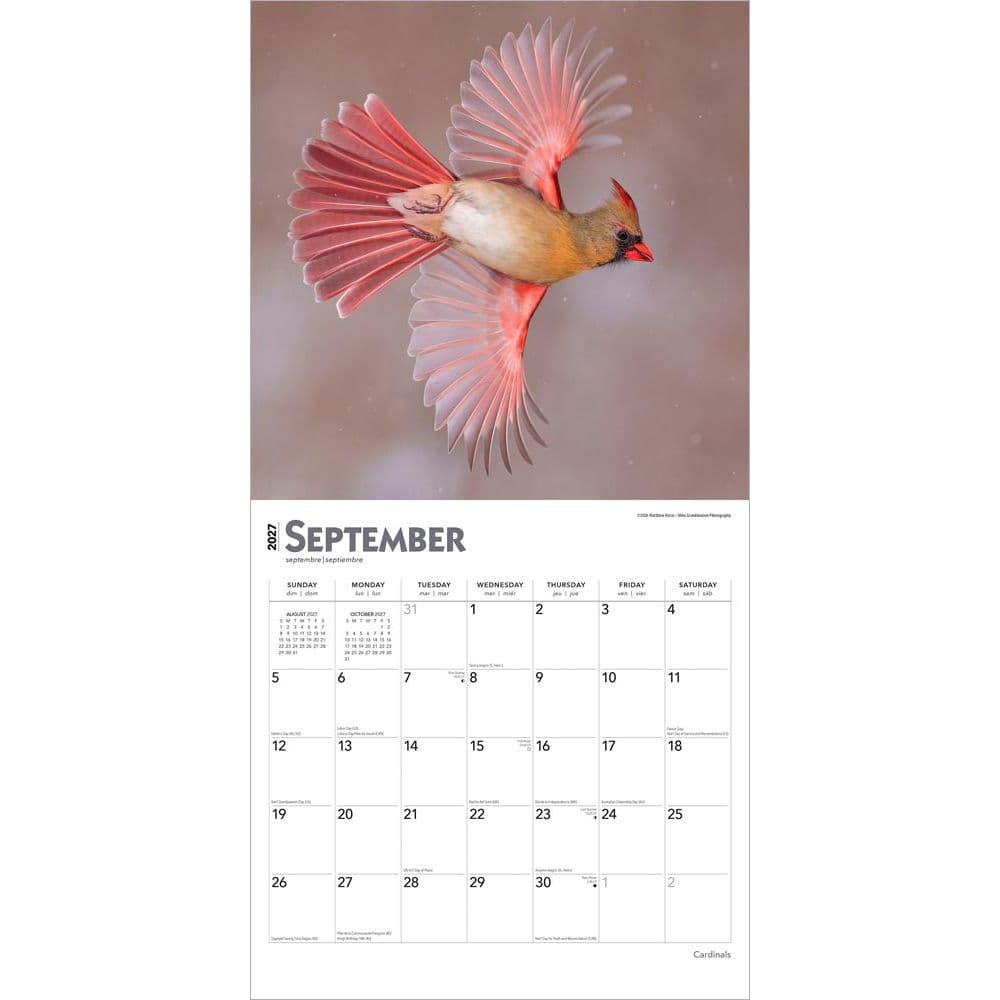 Cardinals 2027 Wall Calendar Third Alternate Image