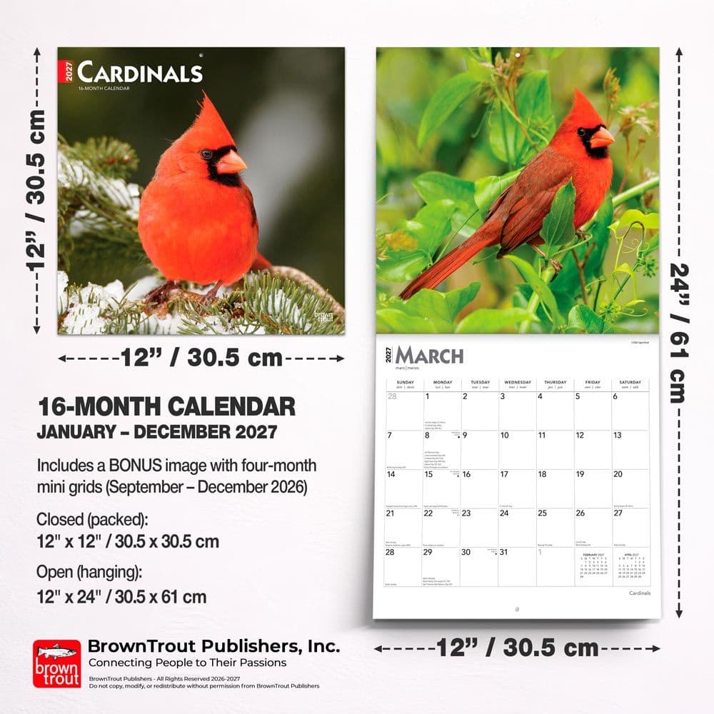 Cardinals 2027 Wall Calendar Sixth Alternate Image