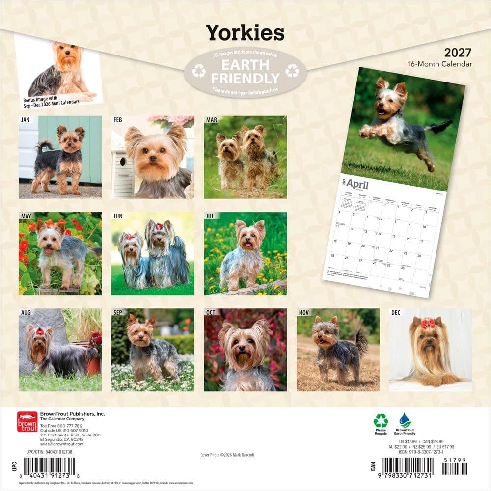 Yorkshire Terriers 2027 Wall Calendar First Alternate Image