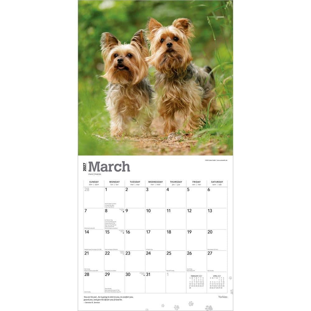 Yorkshire Terriers 2027 Wall Calendar Second Alternate Image