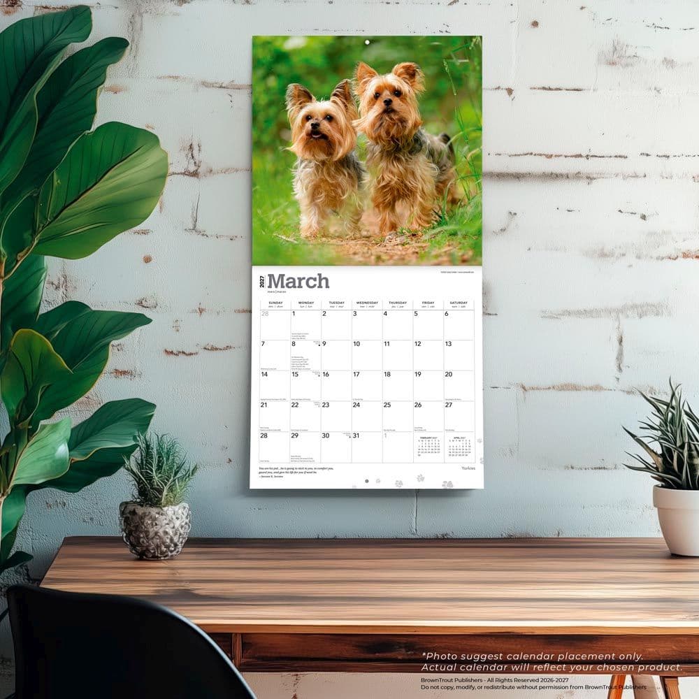 Yorkshire Terriers 2027 Wall Calendar Fourth Alternate Image