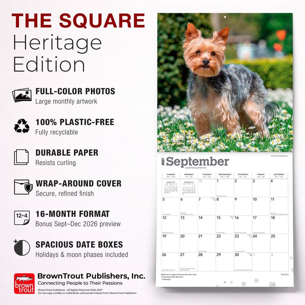 Yorkshire Terriers 2027 Wall Calendar Fifth Alternate Image