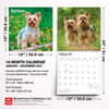 image Yorkshire Terriers 2027 Wall Calendar Sixth Alternate Image