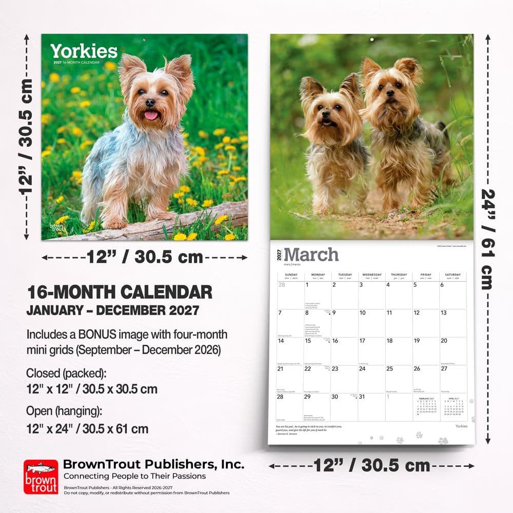 Yorkshire Terriers 2027 Wall Calendar Sixth Alternate Image