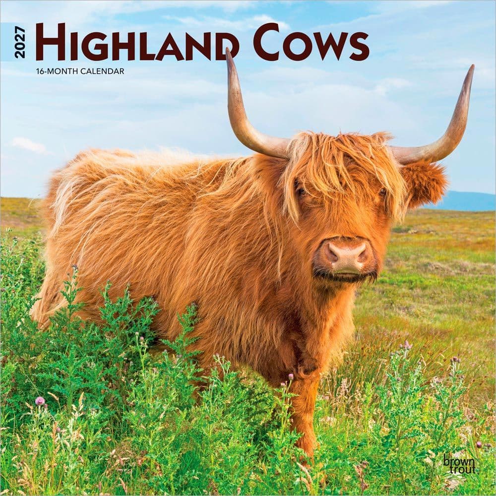 image Highland Cows 2027 Wall Calendar Main Product Image