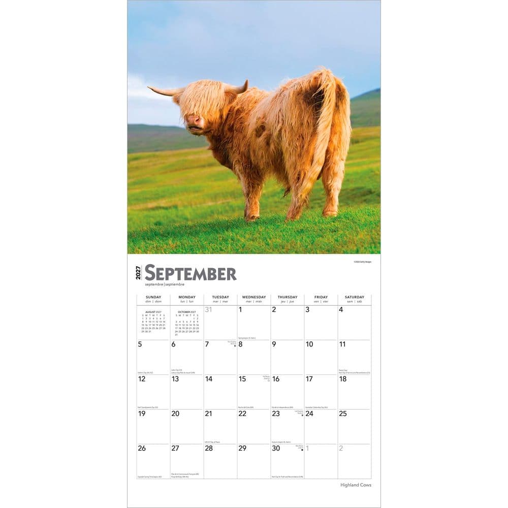 Highland Cows 2027 Wall Calendar Third Alternate Image