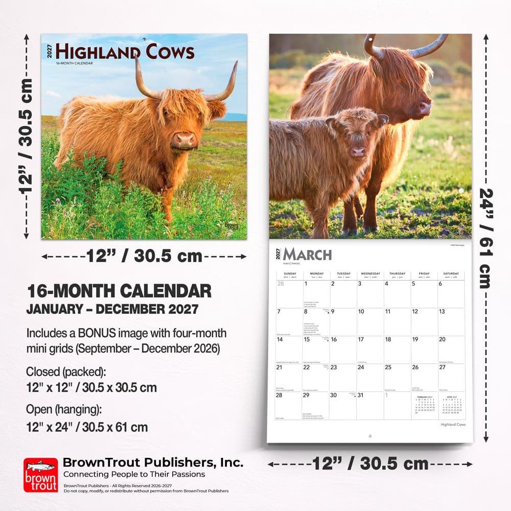 Highland Cows 2027 Wall Calendar Sixth Alternate Image