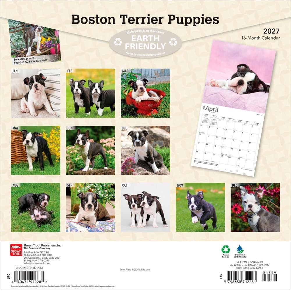 Boston Terrier Puppies 2027 Wall Calendar First Alternate Image