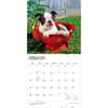 image Boston Terrier Puppies 2027 Wall Calendar Second Alternate Image