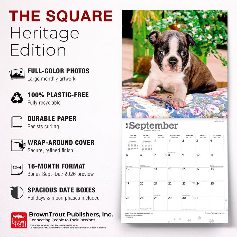Boston Terrier Puppies 2027 Wall Calendar Fifth Alternate Image