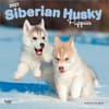 image Siberian Husky Puppies 2027 Wall Calendar Main Product Image