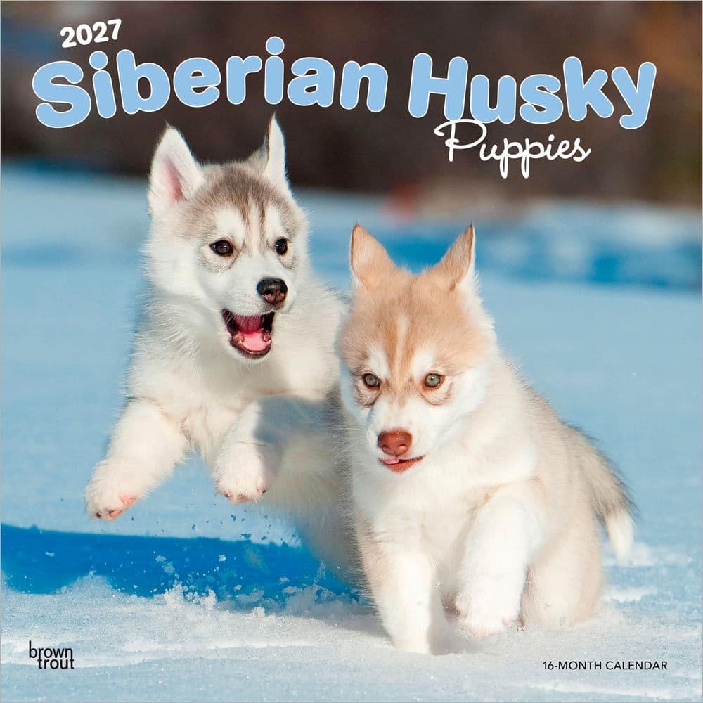 image Siberian Husky Puppies 2027 Wall Calendar Main Product Image
