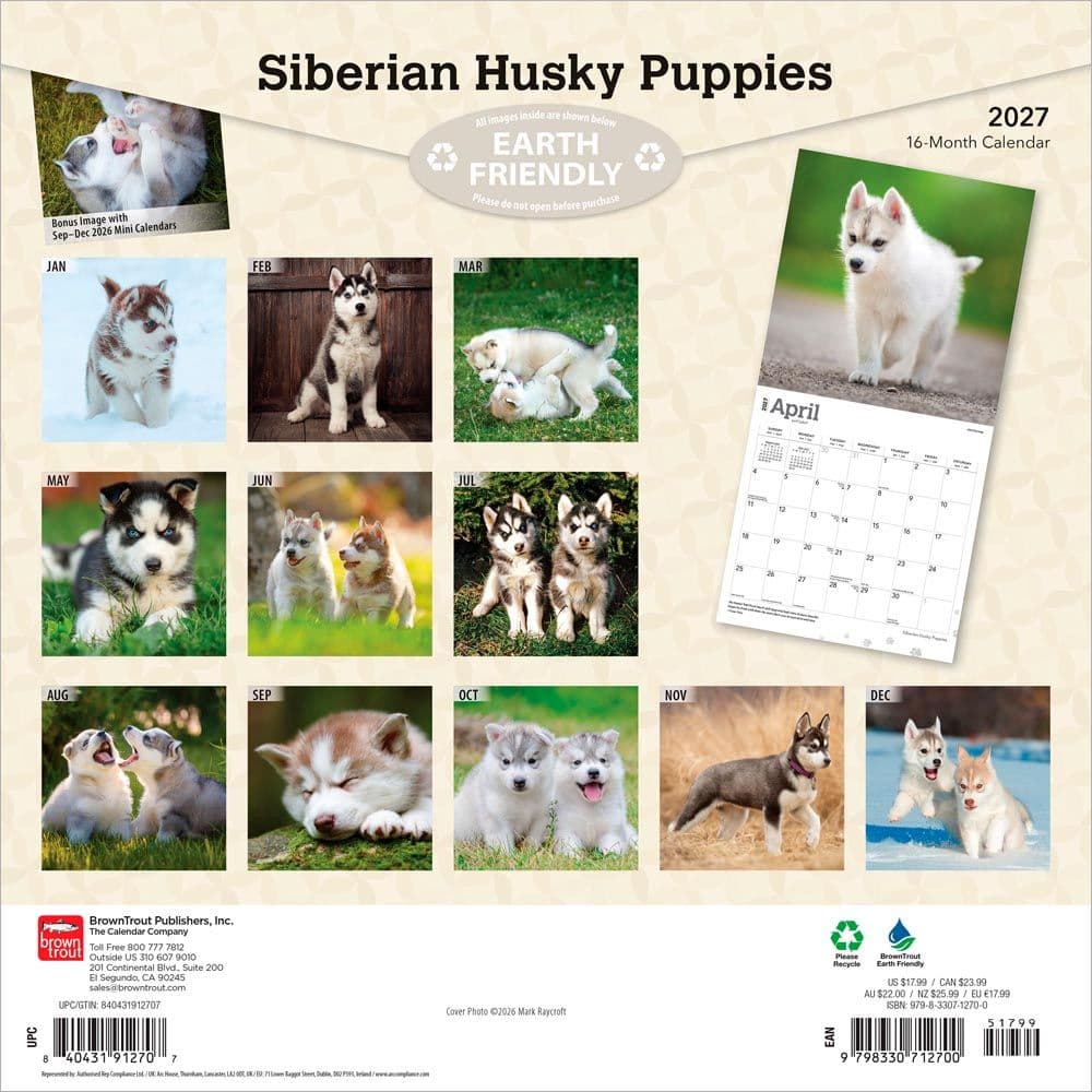 Siberian Husky Puppies 2027 Wall Calendar First Alternate Image