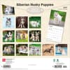 image Siberian Husky Puppies 2027 Wall Calendar First Alternate Image
