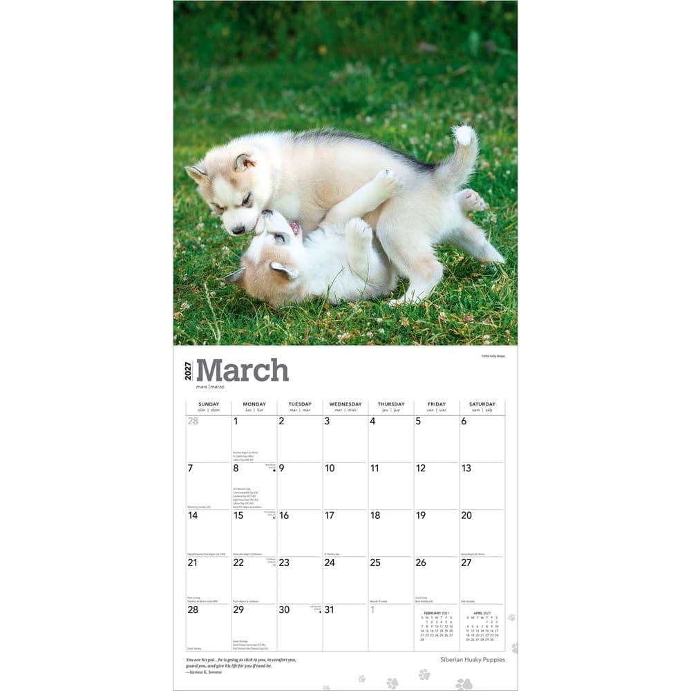 Siberian Husky Puppies 2027 Wall Calendar Second Alternate Image