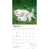 image Siberian Husky Puppies 2027 Wall Calendar Second Alternate Image