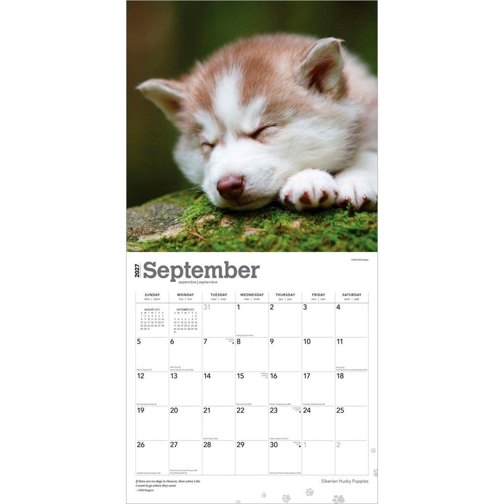 Siberian Husky Puppies 2027 Wall Calendar Third Alternate Image