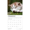 image Siberian Husky Puppies 2027 Wall Calendar Third Alternate Image