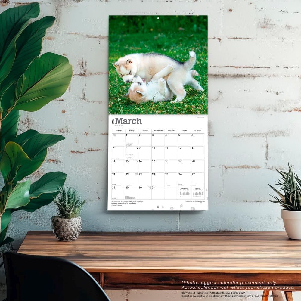Siberian Husky Puppies 2027 Wall Calendar Fourth Alternate Image