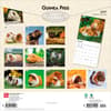 image Guinea Pigs 2027 Wall Calendar First Alternate Image