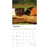 image Guinea Pigs 2027 Wall Calendar Second Alternate Image