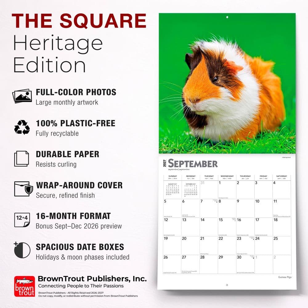 Guinea Pigs 2027 Wall Calendar Fifth Alternate Image