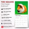 image Guinea Pigs 2027 Wall Calendar Fifth Alternate Image