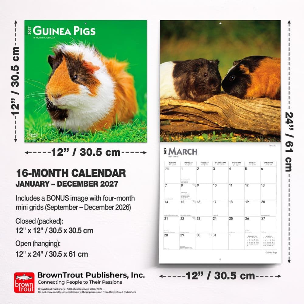 Guinea Pigs 2027 Wall Calendar Sixth Alternate Image