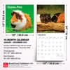 image Guinea Pigs 2027 Wall Calendar Sixth Alternate Image