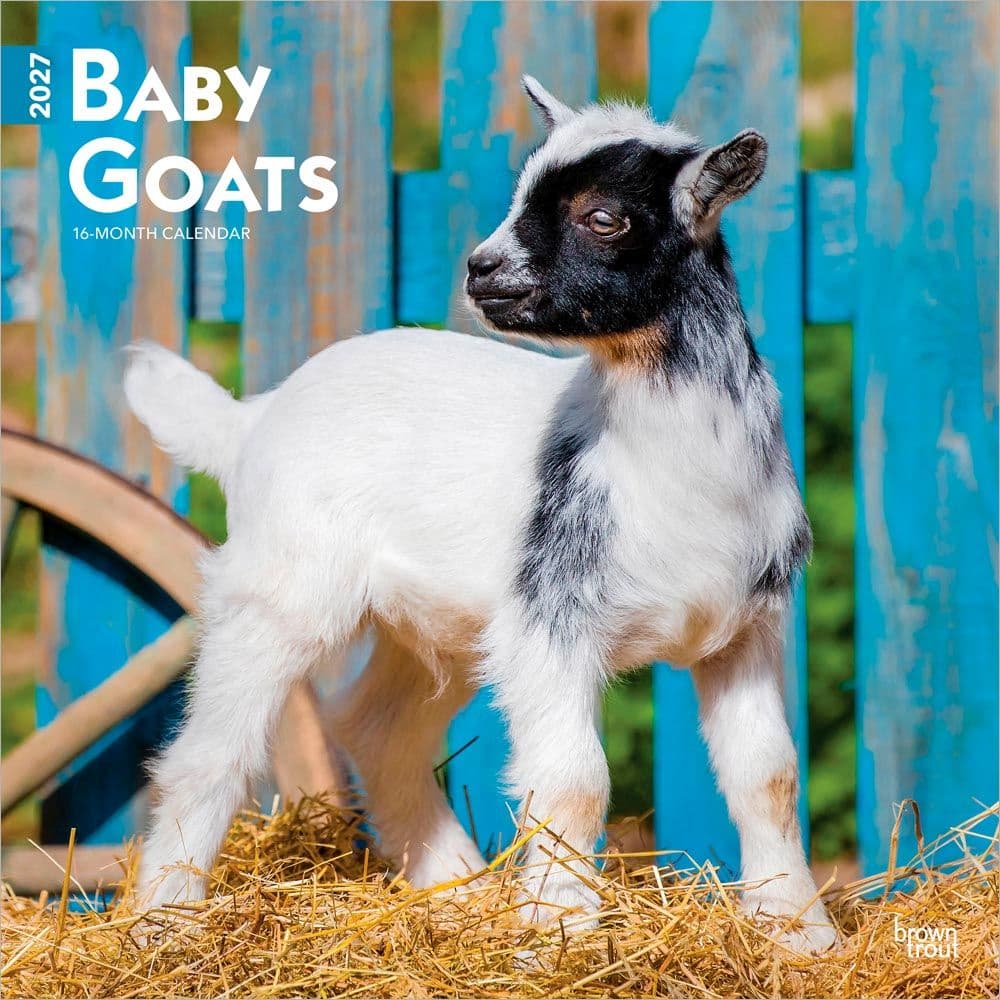 image Baby Goats 2027 Wall Calendar Main Product Image